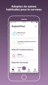 Capture d'écran 1